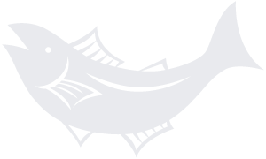 魚イラスト