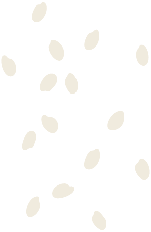 米粒イラスト